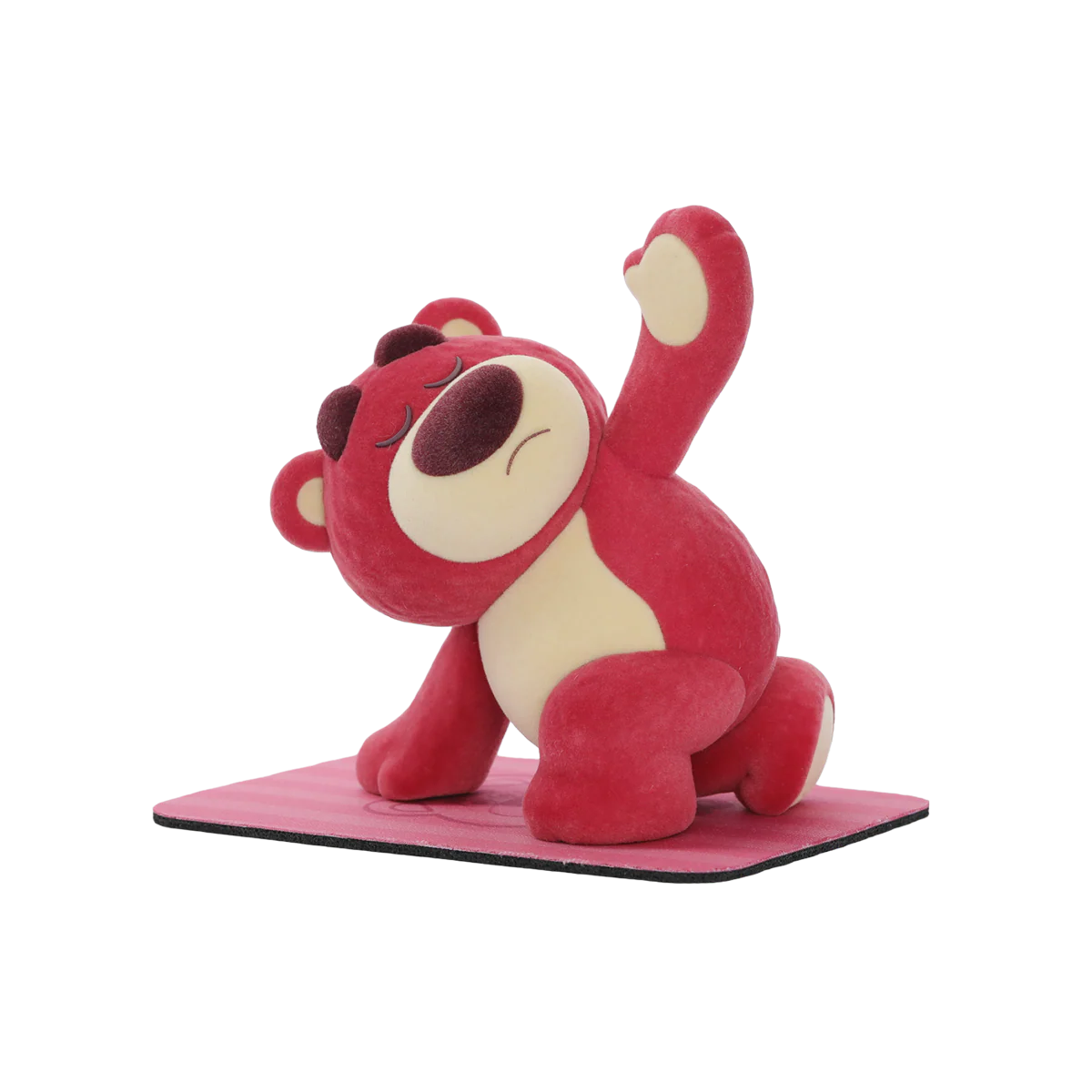 LOTSO FITNESS - Image 17